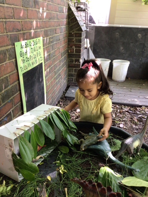 hocus pocus july 2025 new photo 4